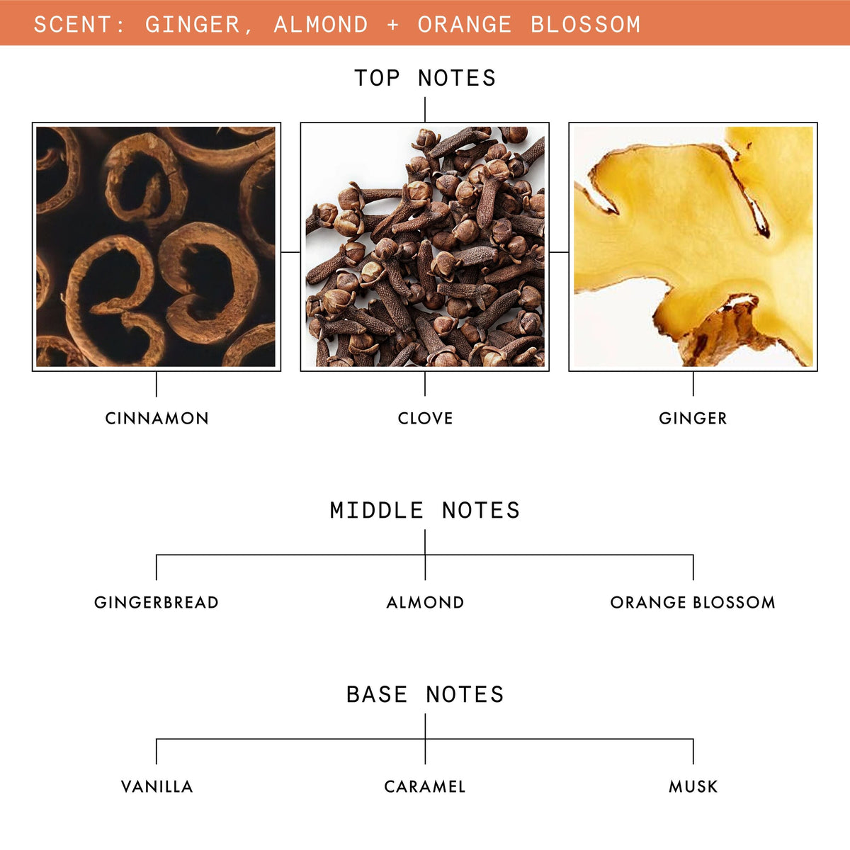 Winter Classics Candle Duo