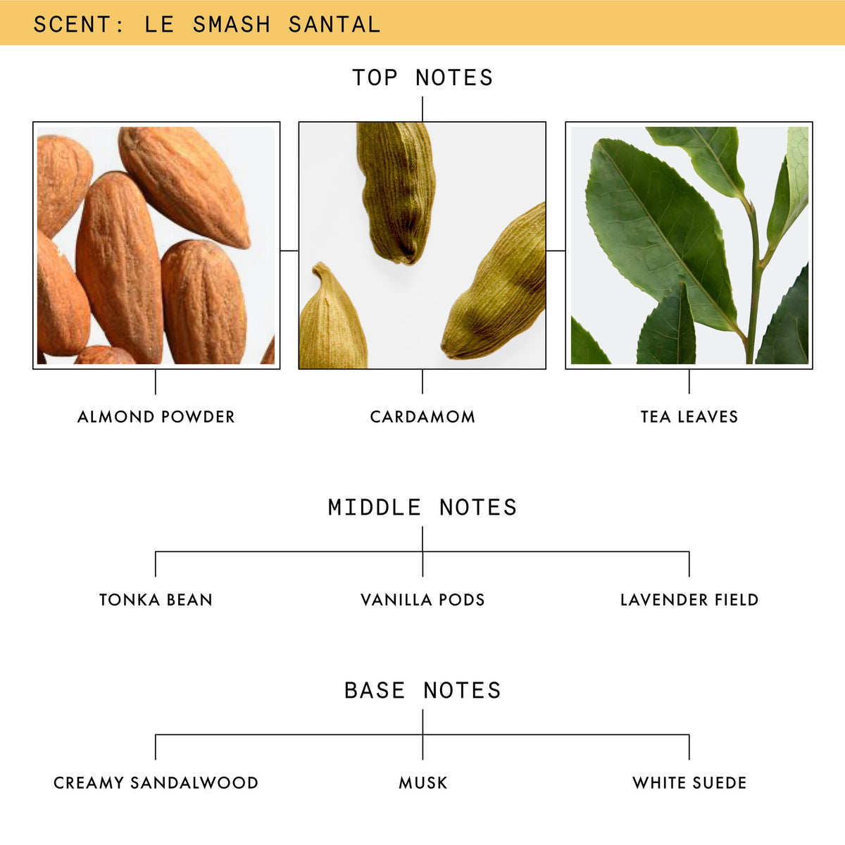 Le Smash Santal Eau De Parfum