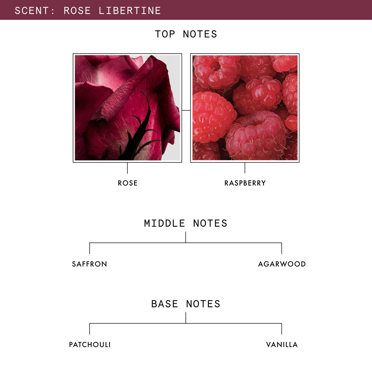Rose Libertine Luxury Scented Candle