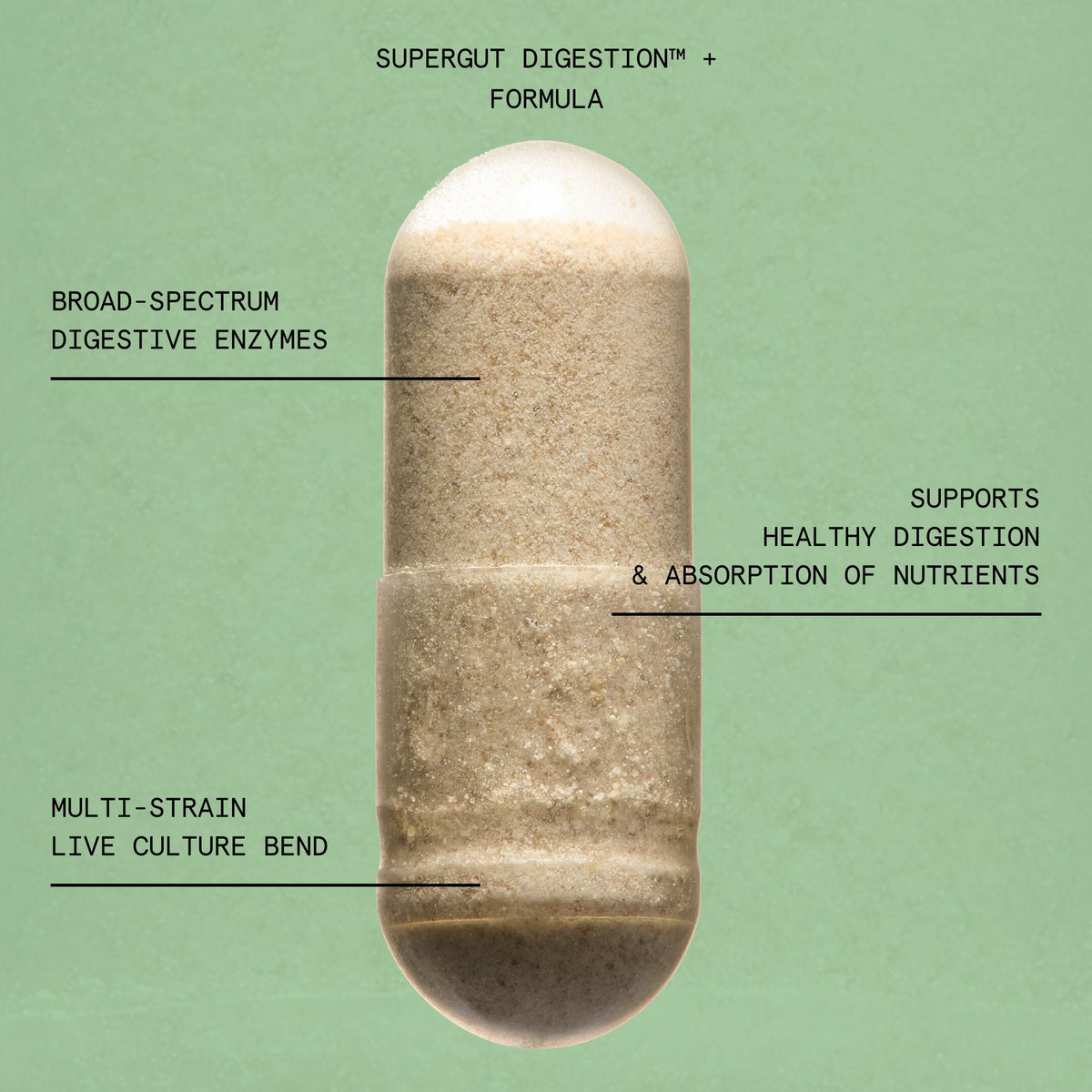 Supergut Digestion+ Formula Live Probiotic Cultures + Digestive Enzymes